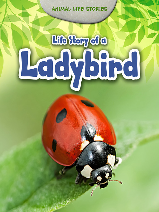 Title details for Life Story of a Ladybird by Charlotte Guillain - Available